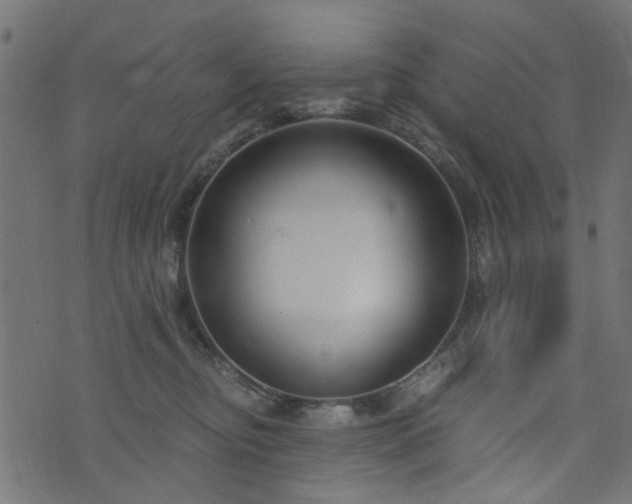 X0000076410374200610061145