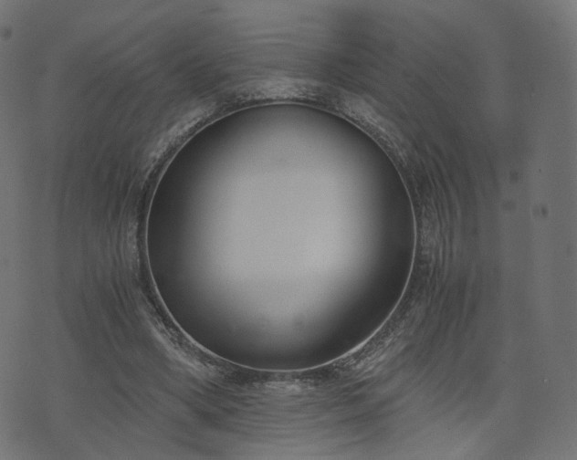 X0000076410394200610061145