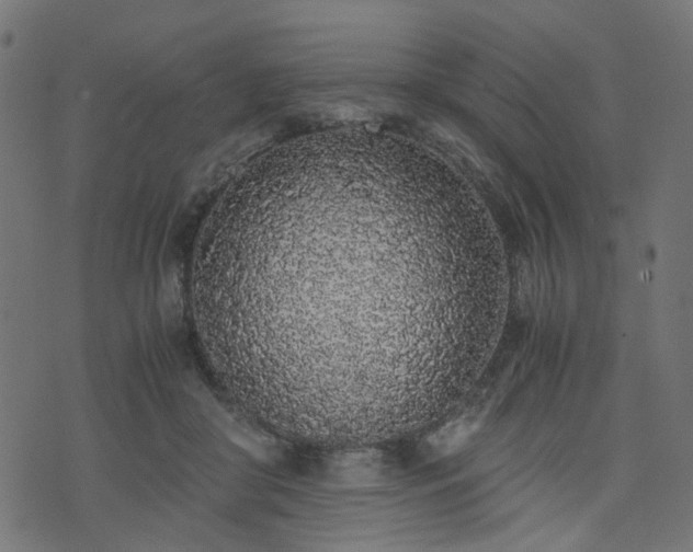 X0000076410410200610061144