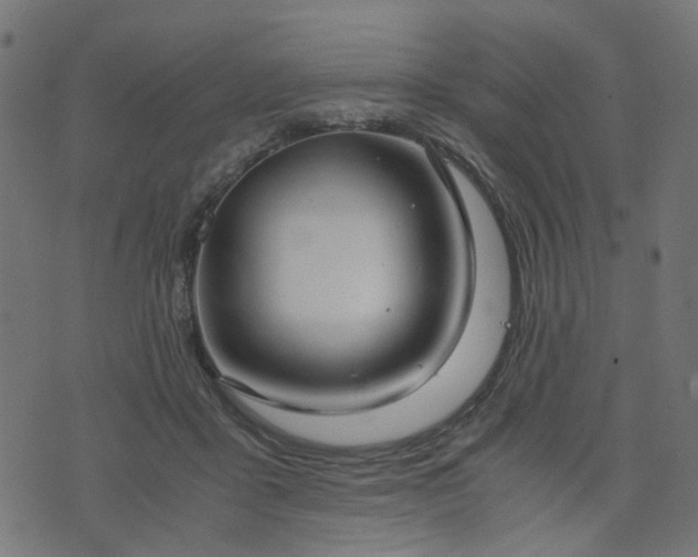 X0000076410411200610061144