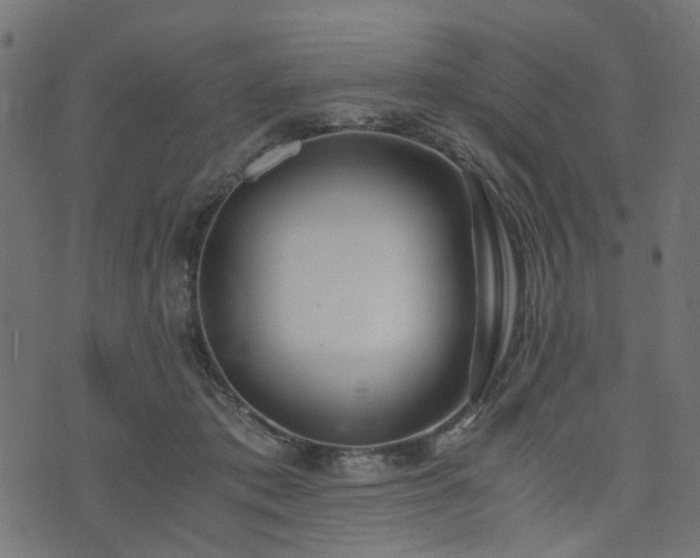 X0000076410413200610061144