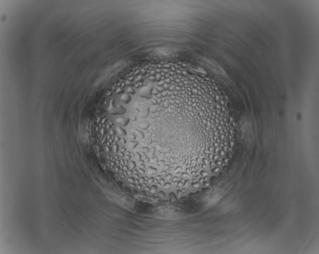 X0000076410423200610061144
