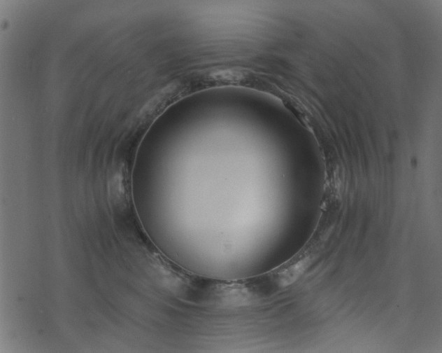 X0000076410424200610061144