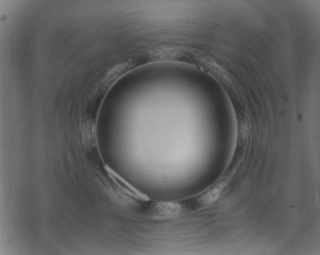 X0000076410429200610061144