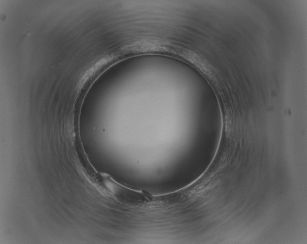 X0000076410438200610061143