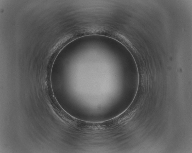 X0000076410443200610061143