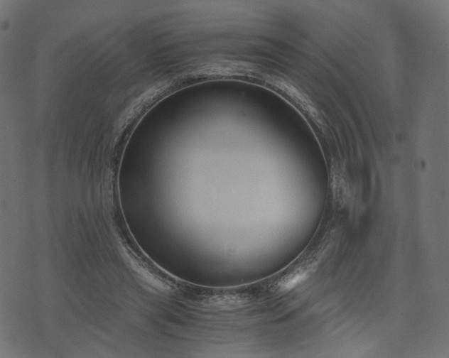 X0000076410445200610061143