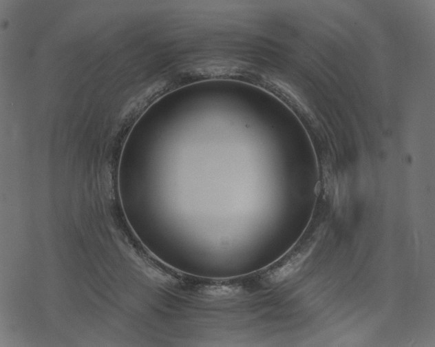 X0000076410453200610061143