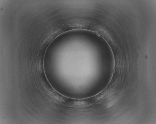 X0000076410457200610061143