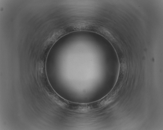 X0000076410458200610061143