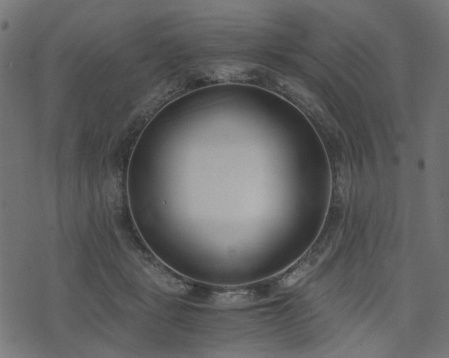 X0000076410461200610061144