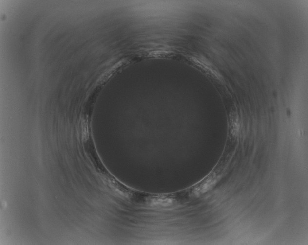 X0000076410471200610061144