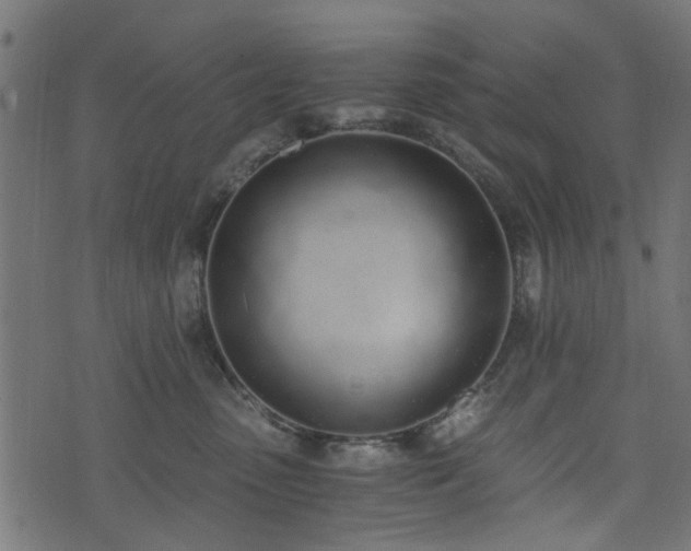 X0000076410475200610061144