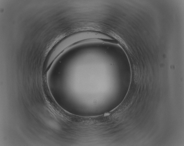 X0000076410482200610061143