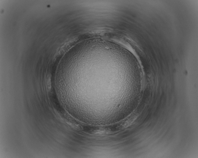 X0000076410504200610061143