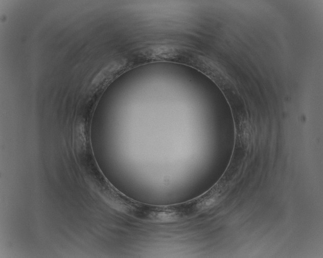 X0000076410506200610061143
