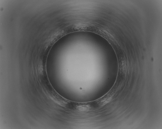 X0000076410508200610061143