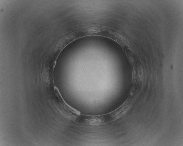 X0000076410512200610061143