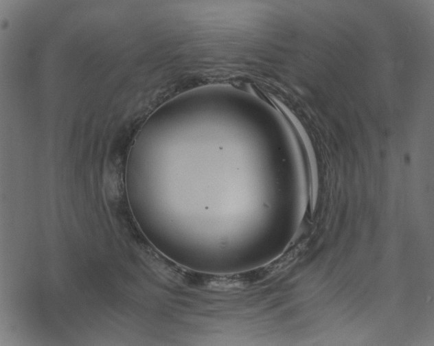 X0000076410515200610061143
