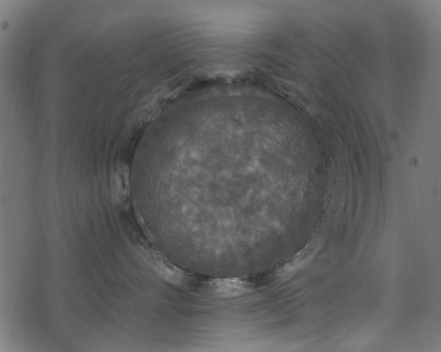 X0000076410528200610061142