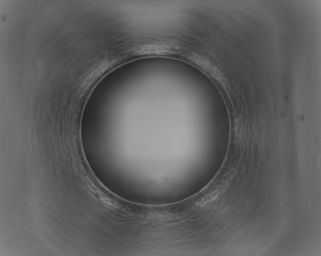 X0000076410529200610061141