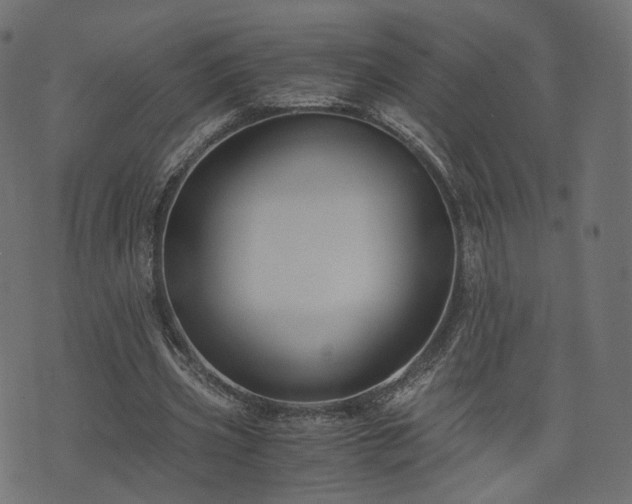 X0000076410533200610061142