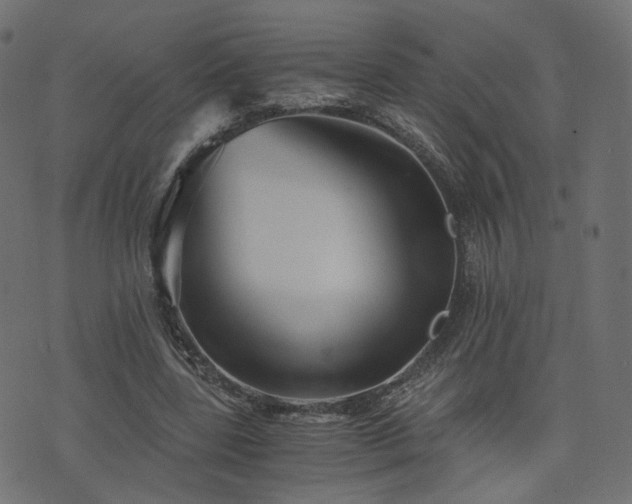 X0000076410539200610061142