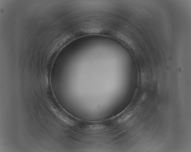 X0000076410541200610061142