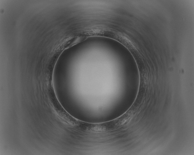 X0000076410546200610061142