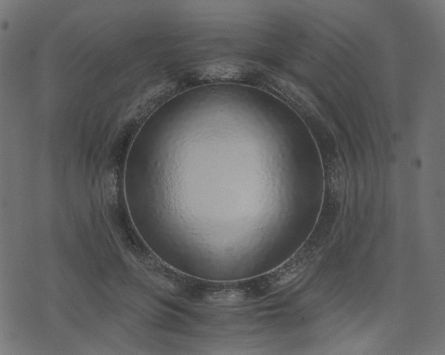 X0000076410551200610061142