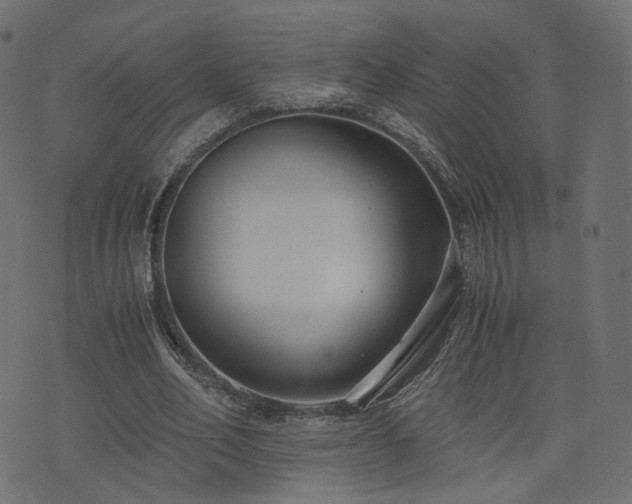 X0000076410582200610061141