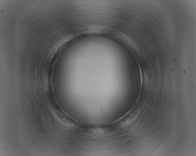 X0000076410588200610061141