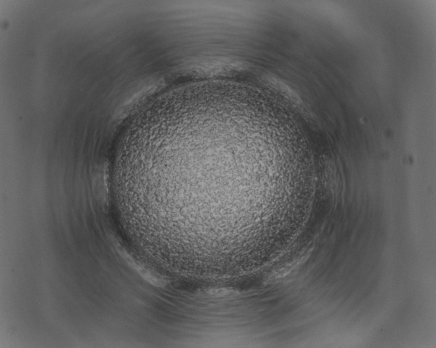 X0000076410590200610061141
