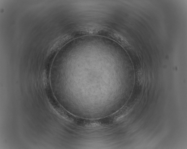 X0000076410594200610061141