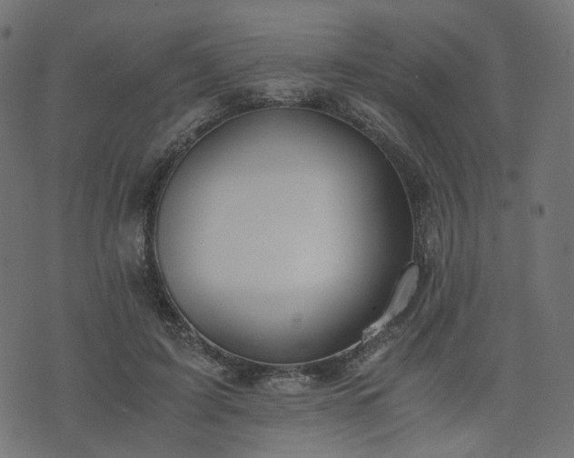 X0000076410595200610061141