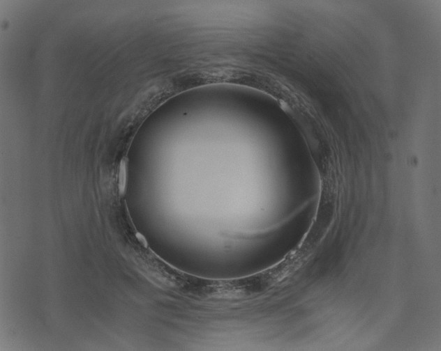 X0000076410601200610061141