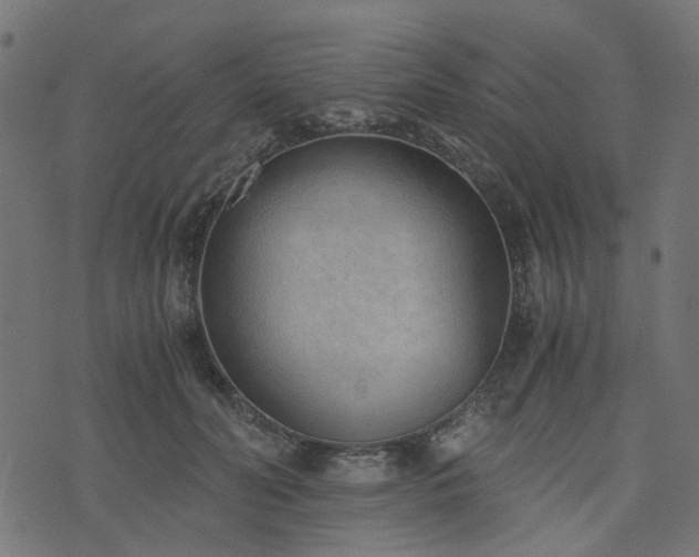 X0000076410606200610061141
