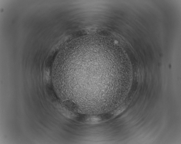 X0000076410610200610061141