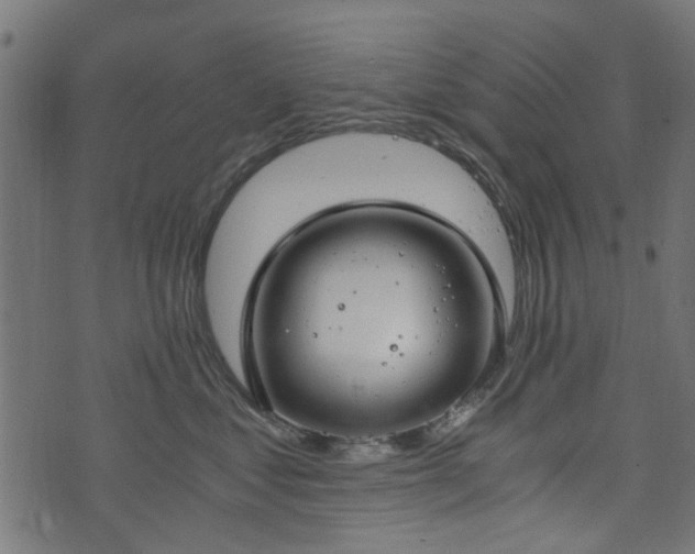 X0000076410621200610061141