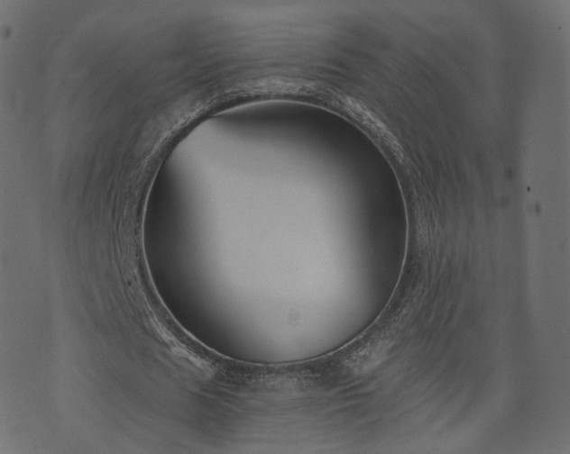 X0000076410625200610061140