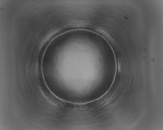 X0000076410627200610061140
