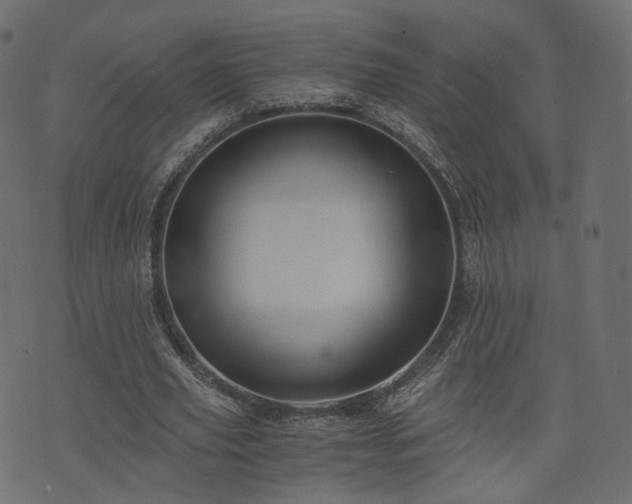 X0000076410629200610061140