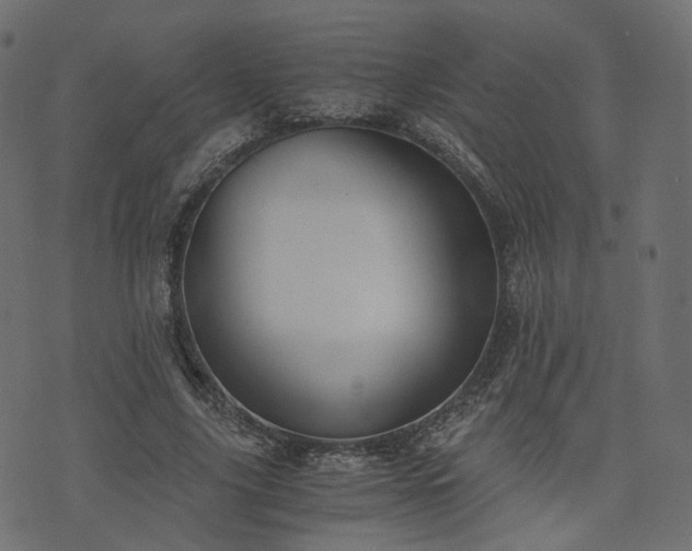 X0000076410635200610061140