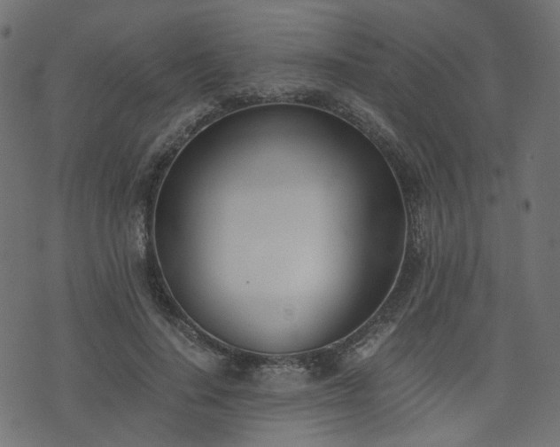 X0000076410644200610061140