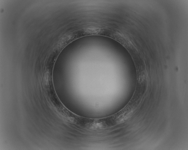 X0000076410647200610061140