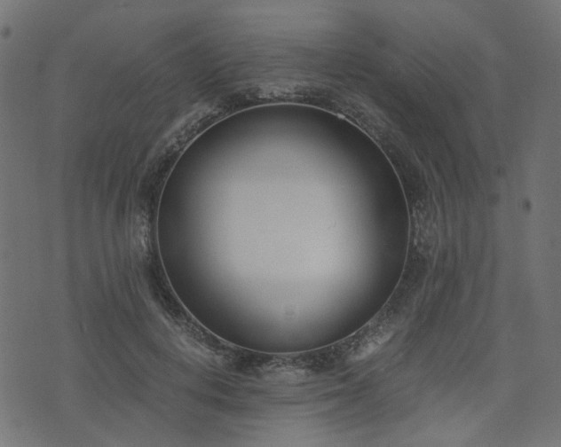 X0000076410648200610061140