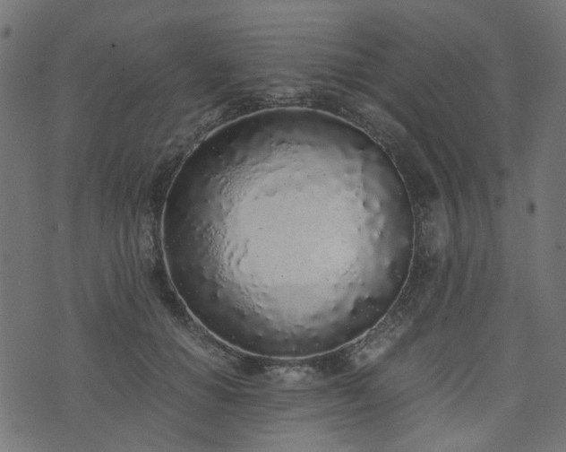 X0000076410654200610061140