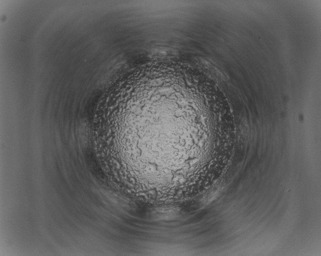 X0000076410659200610061140