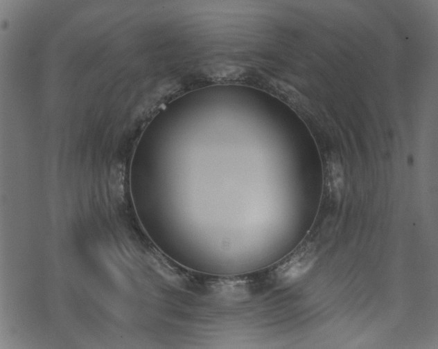 X0000076410664200610061141