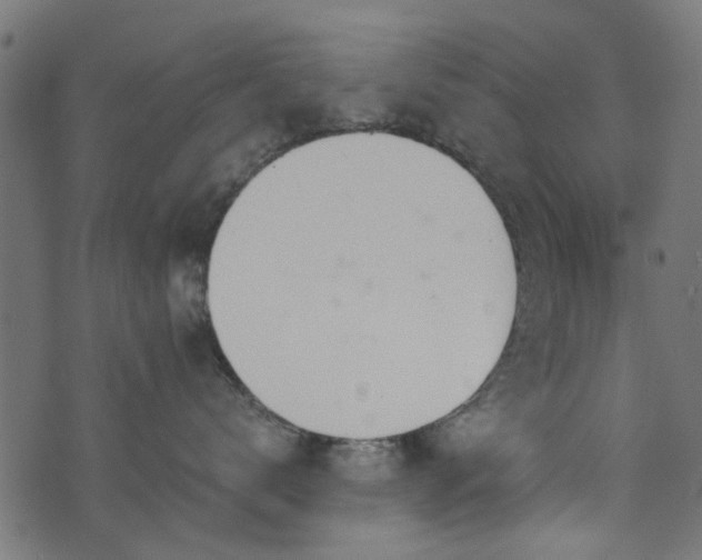X0000076410672200610061141